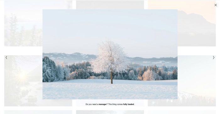 Gallery grid image lightbox 1