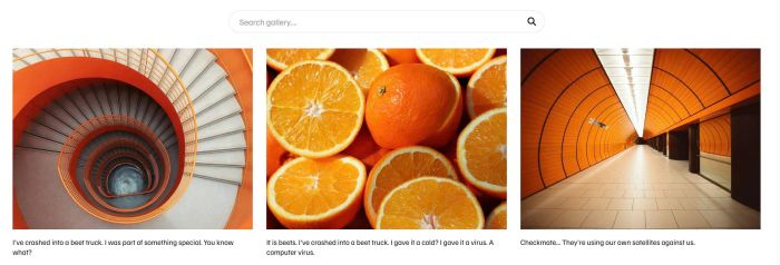 Gallery grid search 1