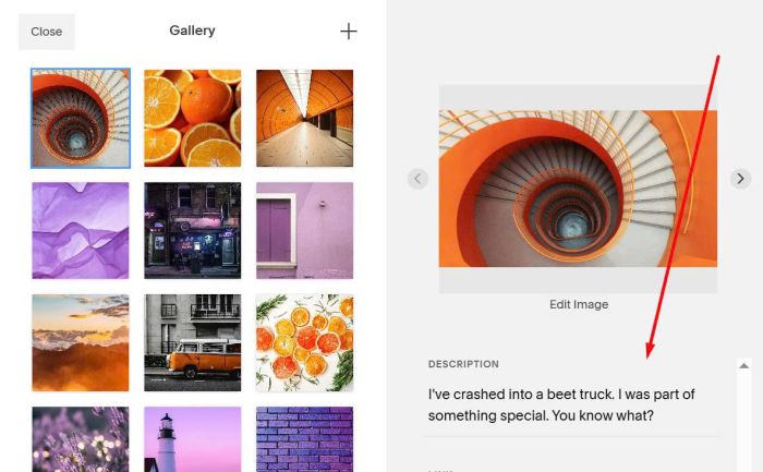 Gallery grid search 6