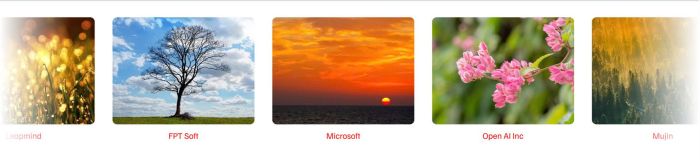 Gallery grid smooth autoscroll 1