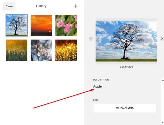 Gallery grid smooth autoscroll 11