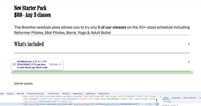 Mindbody doesn't appear when use section loader plugin 3