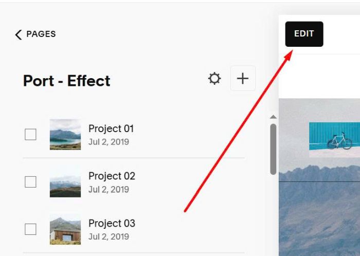 Portfolio custom url 3