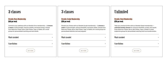 Pricing table with section loader 13