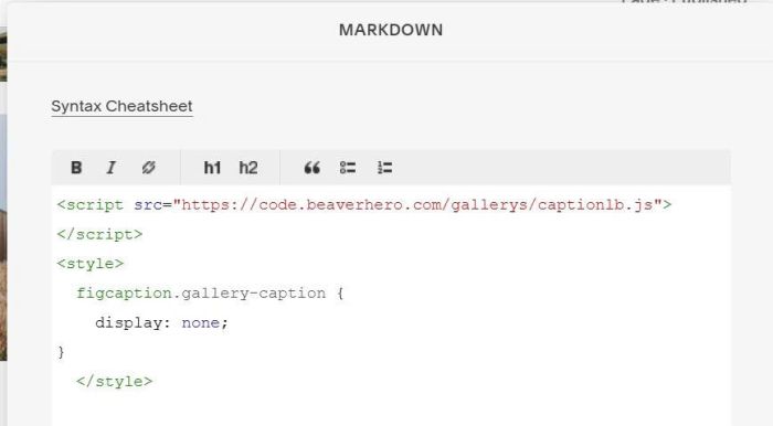 Caption in gallery lightbox 10