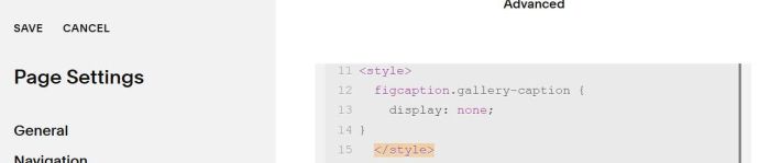 Caption in gallery lightbox 11