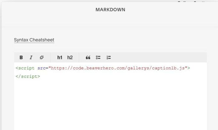Caption in gallery lightbox 3