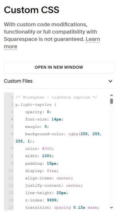 Caption in gallery lightbox 4