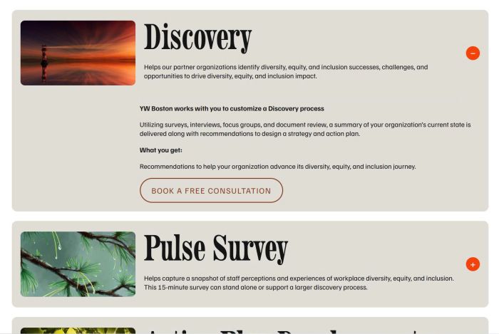 List custom accordion 2
