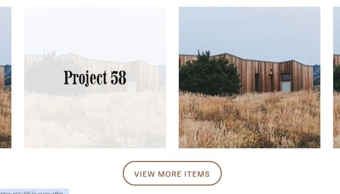 Portfolio 60 items limit 1