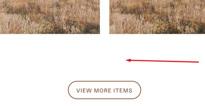 Portfolio 60 items limit 9
