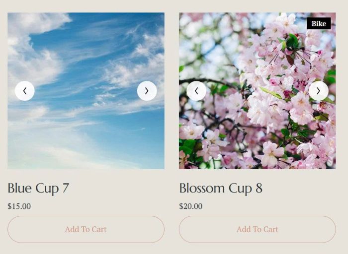 Product image carousel 1