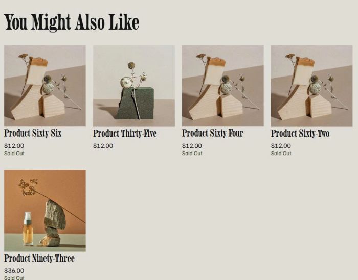Hide sold out products on related products 1