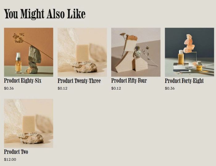 Hide sold out products on related products 2