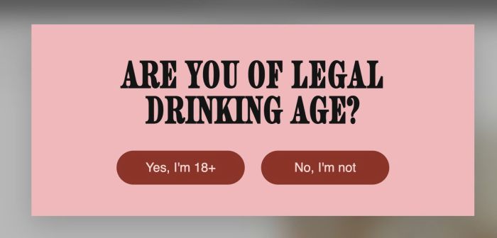 03.26c30v2 Age Verification Popup