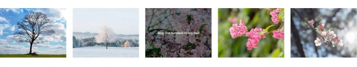 04.26c03v1 Gallery Grid Sync Blog Turn to Carousel