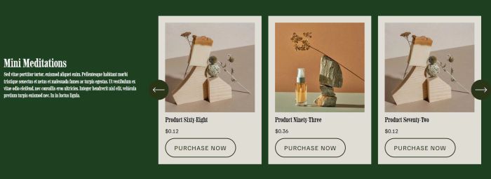 04.26c08v1 List Carousel Product