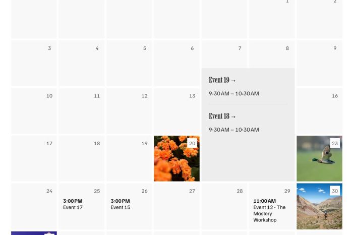 04.26c30v5 Fix Missing Background Image for Multi Event Days