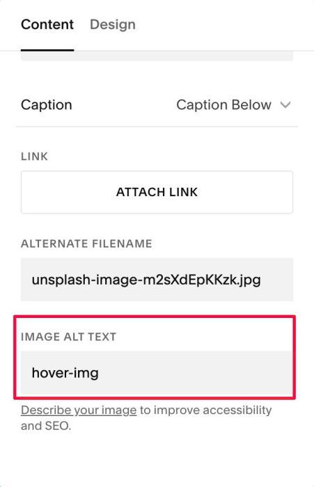 02.26c20v2 Store Hover Image