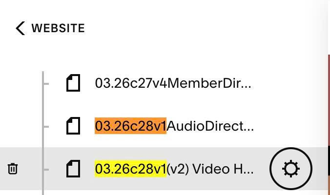 03.26c28v1 (v2) Video Horizontal Gallery v2