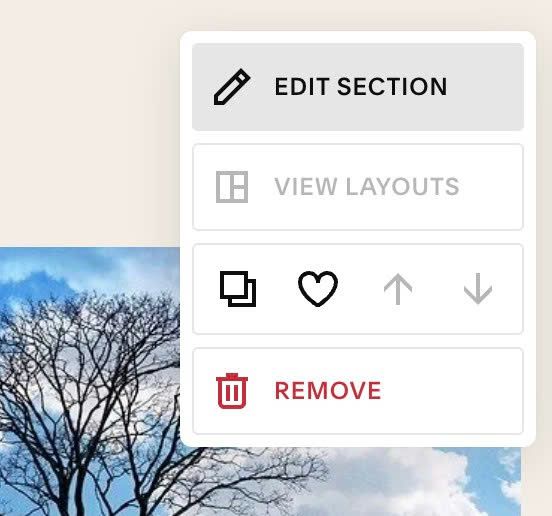 05.26c16v1 Hover Text Show Image Follow Cursor