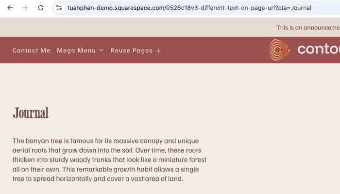 05.26c18v3 Different Text on Page URL