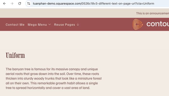 05.26c18v3 Different Text on Page URL