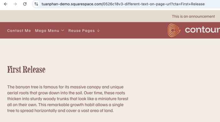 05.26c18v3 Different Text on Page URL