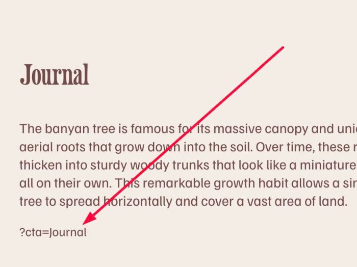 05.26c18v3 Different Text on Page URL