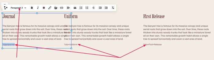 05.26c18v3 Different Text on Page URL