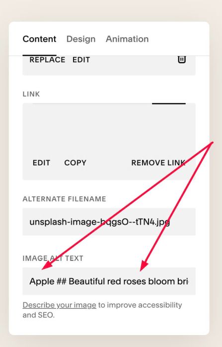 05.26c28v2 Flip Image Block v2