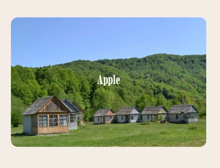 05.26c28v2 Flip Image Block v2