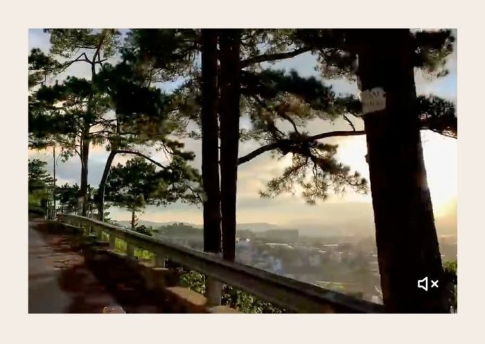 653 Play Video on Image Hover