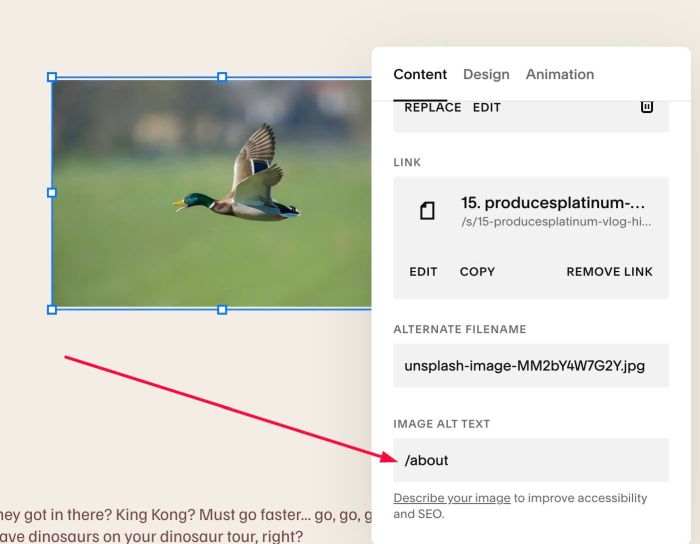Play audio on Hover Image