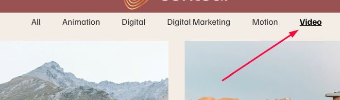 Portfolio Filter (new)