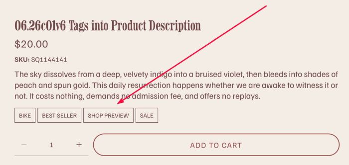 06.26c01v6 Tags into Product Description