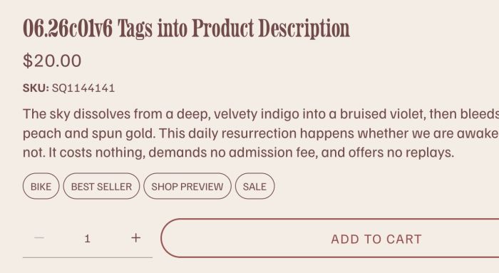 06.26c01v6 Tags into Product Description