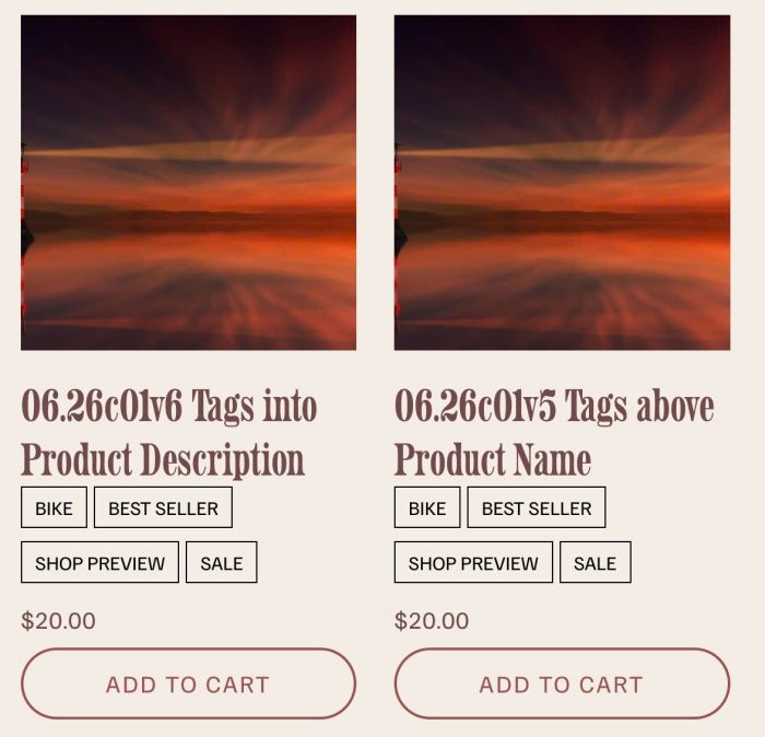 06.26c05v3 Tags into Store