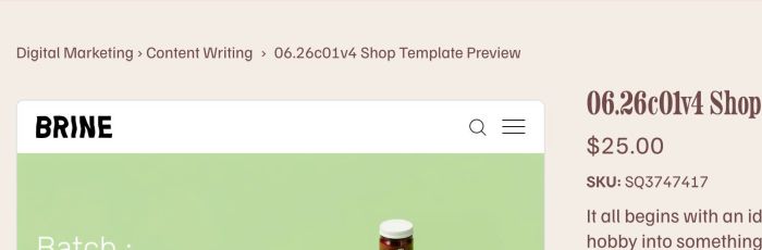06.26c08v1 Product Category in Breadcrumbs