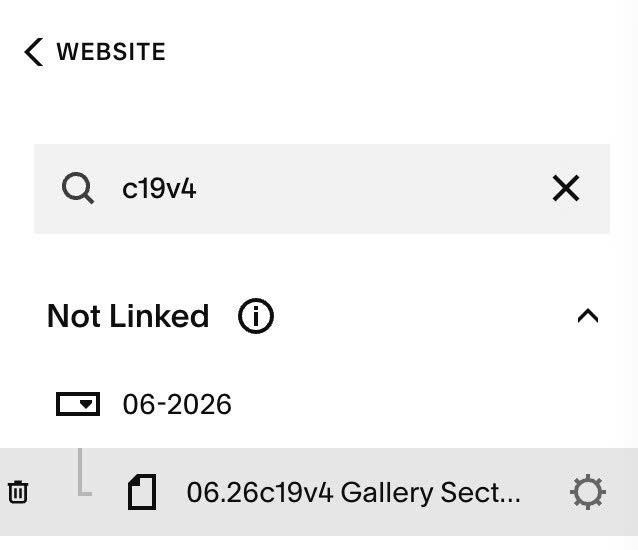06.26c19v4 Gallery Section Video