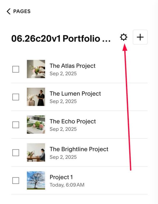 06.26c20v1 Portfolio Hover BG to Grid