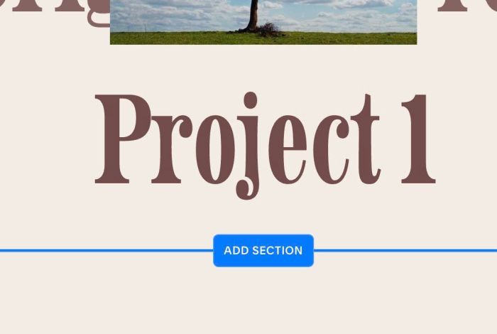 06.26c20v1 Portfolio Hover BG to Grid