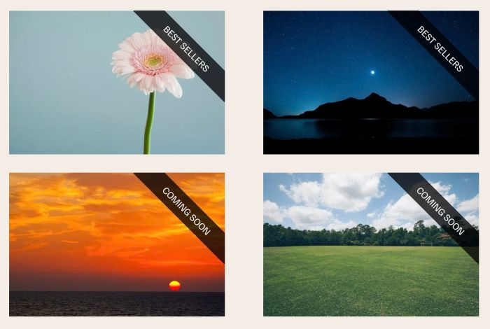 06.26c28v3 Image Block Label Text