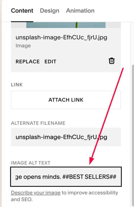 06.26c28v3 Image Block Label Text