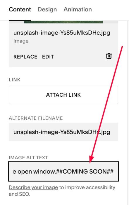 06.26c28v3 Image Block Label Text