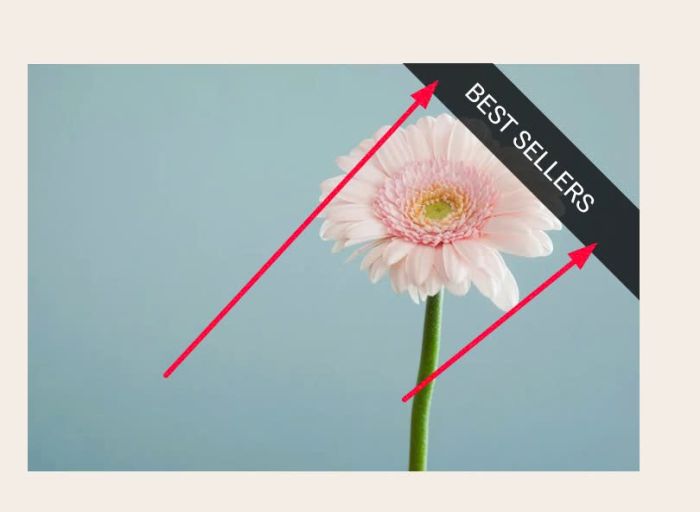 06.26c28v3 Image Block Label Text