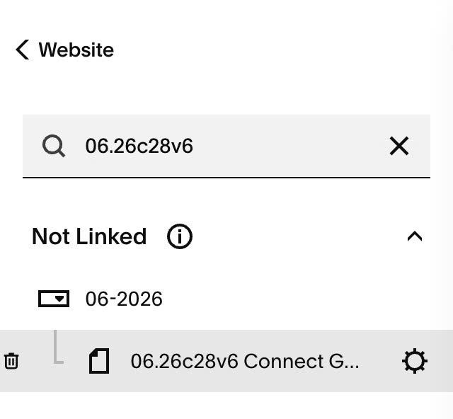06.26c28v6 Connect Gallery Grid with Portfolio Page