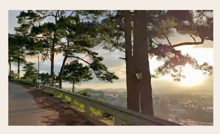 06.26c29v1 Autoplay Video Block