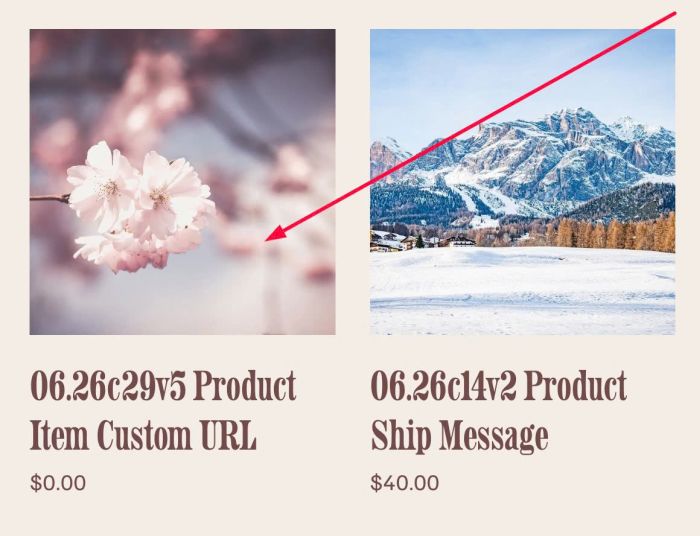 06.26c29v5 Product Item Custom URL