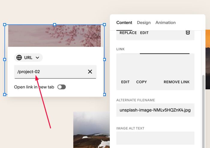 06.26c30v4 Connect Image Blocks with Portfolio Page